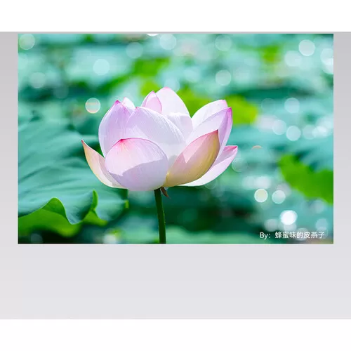 Ống kính TTartisan 100mm f2.8 Bubble Bokeh ngàm M42